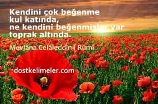 Kendini beğenmek ile ilgili sözler