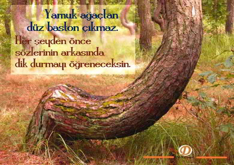 Delikanlı Sözler 1 resimli delikanlı sozler