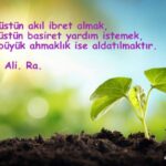 resimli en güzel anlamlı sözler kısa