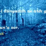 resimli en güzel sözler kısa