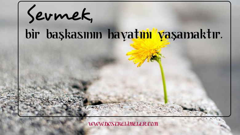 resimli-guzel-ask-sozleri