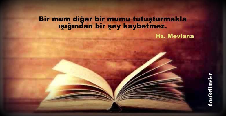 resimli ilim ile ilgili sözler mevlana