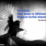 tevekkül ile ilgili resimli söz