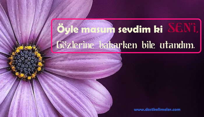 yeni-ask-sozleri